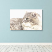 Toile Chat couché (Insitu (Plancher de Bois))