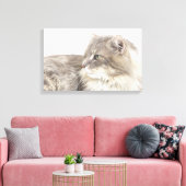 Toile Chat couché (Insitu(Salon))