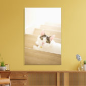 Toile Chat couché dans les escaliers (Insitu(Salon))