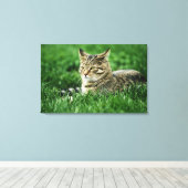 Toile Chat couché dans l'herbe (Insitu (Plancher de Bois))