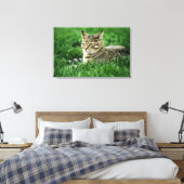 Toile Chat couché dans l'herbe (Insitu(Chambre))