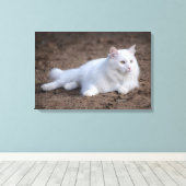 Toile Chat d'angora turc blanc sur arrière - plan brun (Insitu (Plancher de Bois))