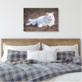 Toile Chat d'angora turc blanc sur arrière - plan brun (Insitu(Chambre))