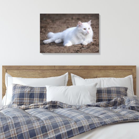 Toile Chat d'angora turc blanc sur arrière - plan brun (Insitu(Chambre))