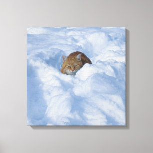 Toile Chat dans la neige
