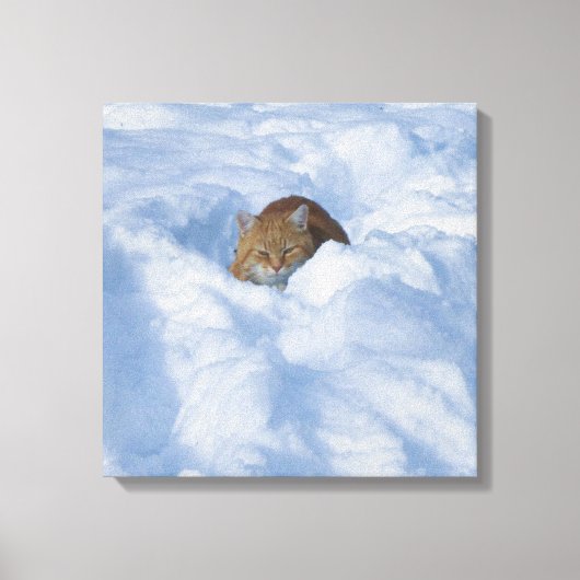 Toile Chat dans la neige (Recto)