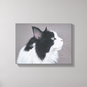 Toile Chat de ragondin noir et blanc du Maine