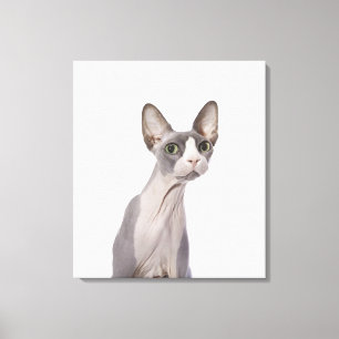 Toile Chat de Sphynx avec l'expression étonnée