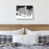 Toile Chat endormi (Insitu(Chambre))