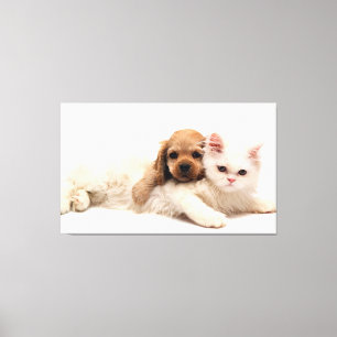Toile Chat et chiot