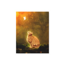 Chat Et Fée
