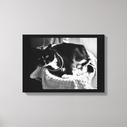 Toile Chat fantaisie (Recto)