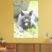 Toile Chat gris design rustique (Insitu(Salon))