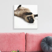 Toile Chat himalayen allongé sur son dos (Insitu(Salon))