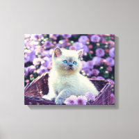 Chat Kitten Bleu Oyé En Panier Avec Fleurs Violett