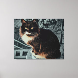 Toile Chat majestueux et duveteux sur un piédestal