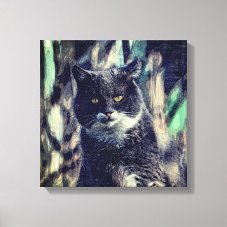 Toile Chat, Mammifère, Animal