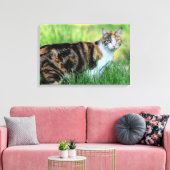 Toile Chat marron et blanc (Insitu(Salon))