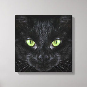 Toile Chat noir aux yeux verts