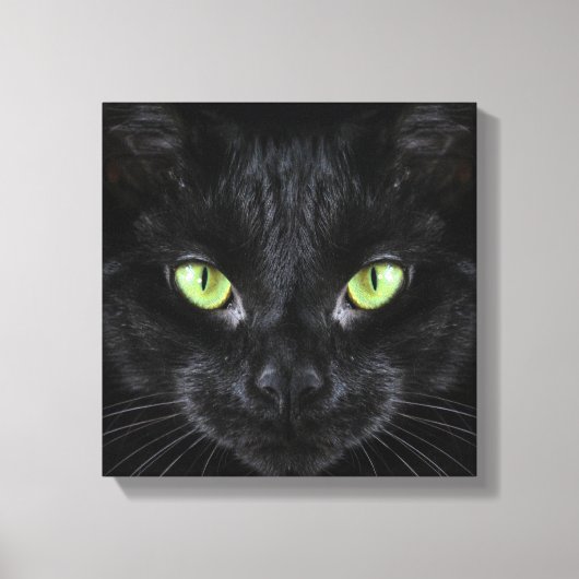 Toile Chat noir aux yeux verts (Recto)