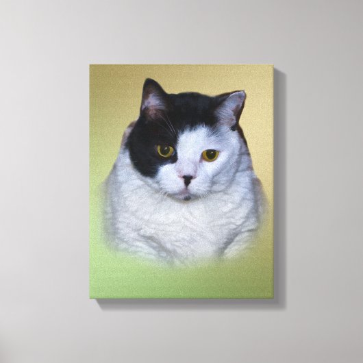Toile Chat noir et blanc en gras (Recto)