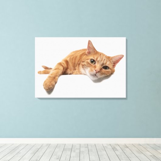 Toile Chat Orange Posé En Bas (Insitu (Plancher de Bois))