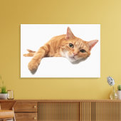 Toile Chat Orange Posé En Bas (Insitu(Salon))