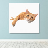 Toile Chat Orange Posé En Bas (Insitu (Plancher de Bois))