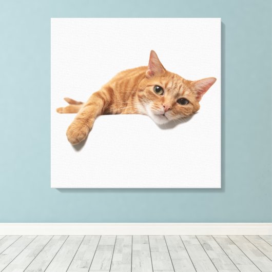 Toile Chat Orange Posé En Bas (Insitu (Plancher de Bois))