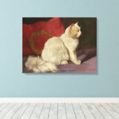 Toile Chat perse blanc (Insitu (Plancher de Bois))