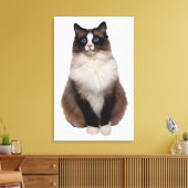 Toile Chat Ragdoll (Insitu(Salon))