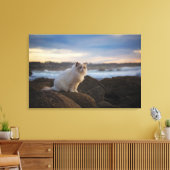 Toile Chat Ragdoll À La Plage (Insitu(Salon))