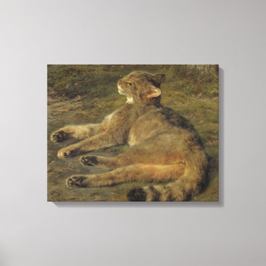 Toile Chat sauvage (par Rosa Bonheur) (Recto)