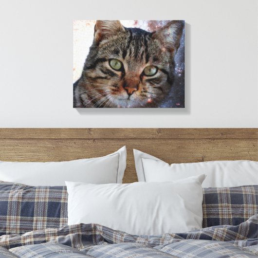 Toile Chat spatial (Insitu(Chambre))