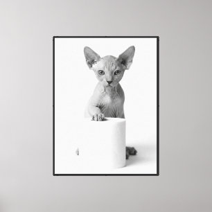Toile Chat Sphynx joueur gardant du papier toilette élég
