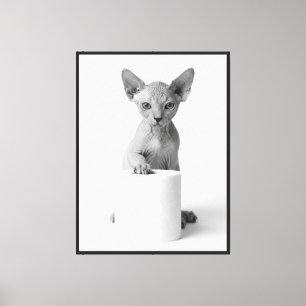 Toile Chat Sphynx ludique esthétique gardant du papier t