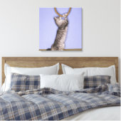 Toile Chat tendant vers la corde (Insitu(Chambre))