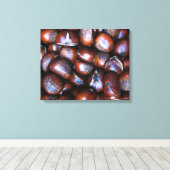 Toile Châtaignes (Insitu (Plancher de Bois))