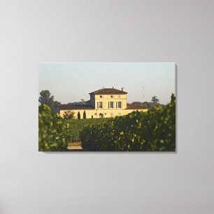 Toile Château Lafleur Petrus et vignoble, dans Pomerol,