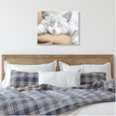 Toile Chaton couchant (Insitu(Chambre))