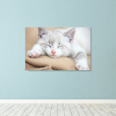 Toile Chaton couchant (Insitu (Plancher de Bois))