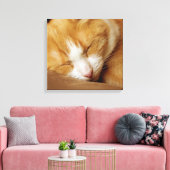 Toile Chaton couchant (Insitu(Salon))