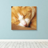 Toile Chaton couchant (Insitu (Plancher de Bois))