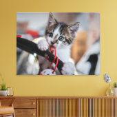 Toile chaton et balle (Insitu(Salon))