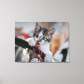 Toile chaton et balle (Recto)