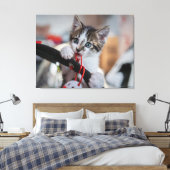 Toile chaton et balle (Insitu(Chambre))