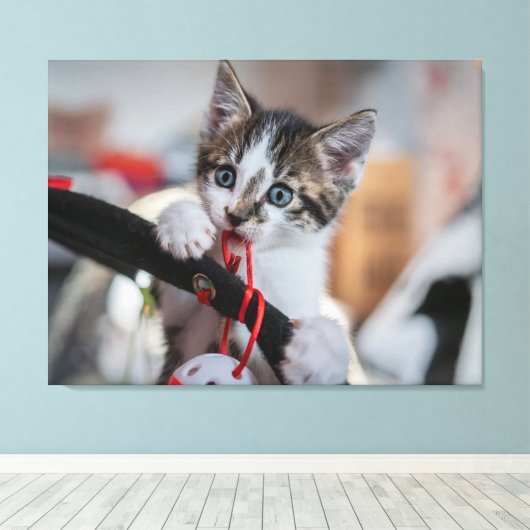 Toile chaton et balle (Insitu (Plancher de Bois))