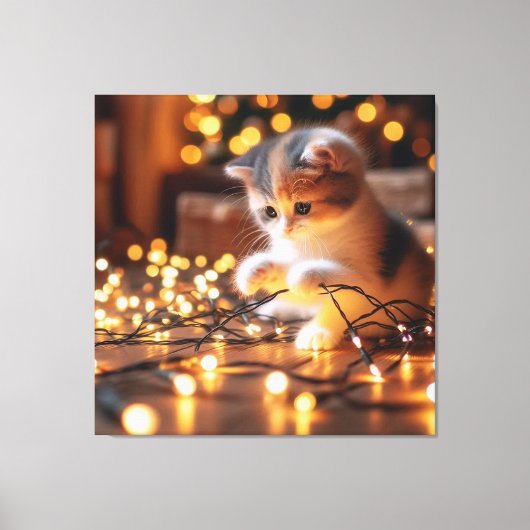 Toile chaton et lumières (Recto)