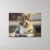 Toile chaton mignon (Recto)