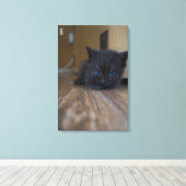 Toile Chaton noir (Insitu (Plancher de Bois))